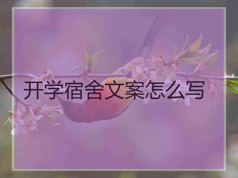 开学宿舍文案怎么写