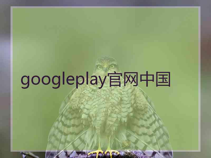 googleplay官网中国