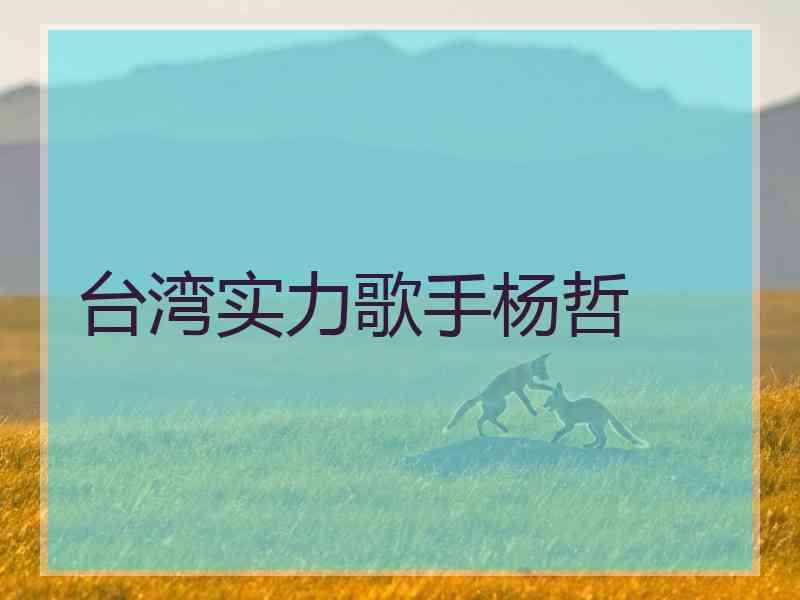 台湾实力歌手杨哲
