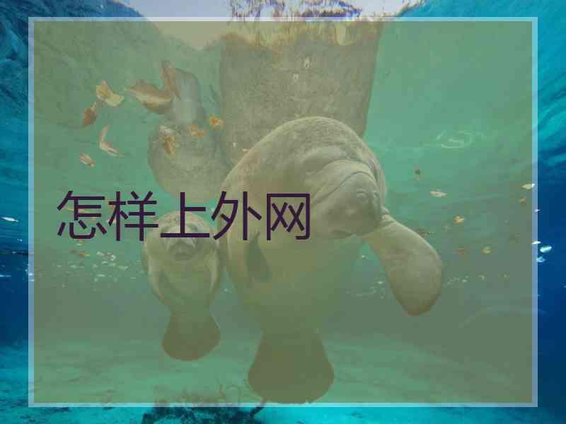 怎样上外网