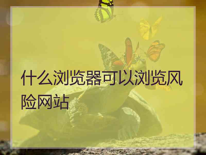 什么浏览器可以浏览风险网站
