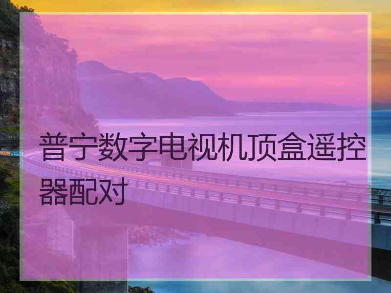 普宁数字电视机顶盒遥控器配对