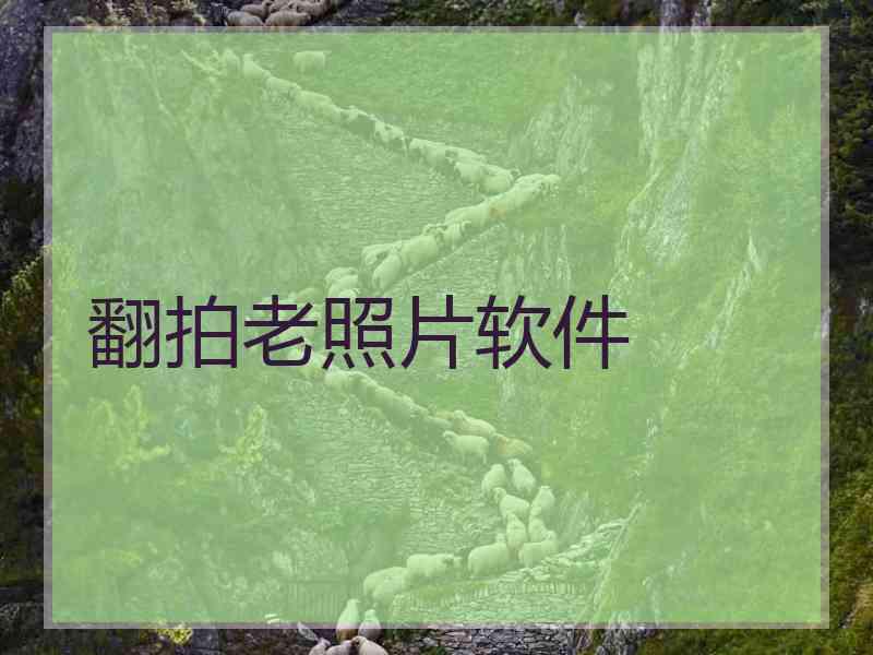 翻拍老照片软件