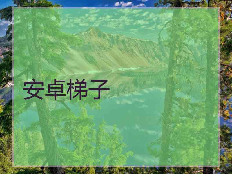 安卓梯子