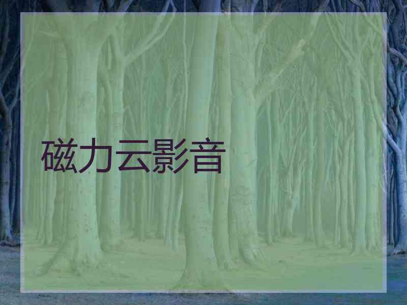 磁力云影音
