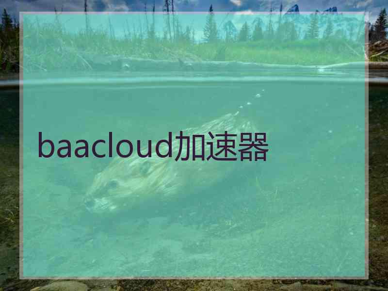 baacloud加速器