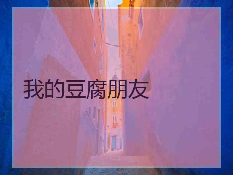 我的豆腐朋友