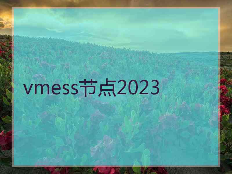 vmess节点2023