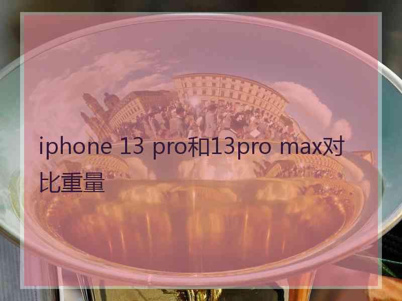 iphone 13 pro和13pro max对比重量