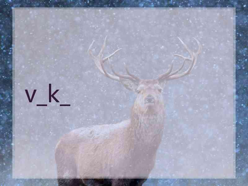 v_k_