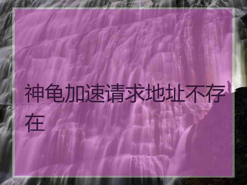 神龟加速请求地址不存在