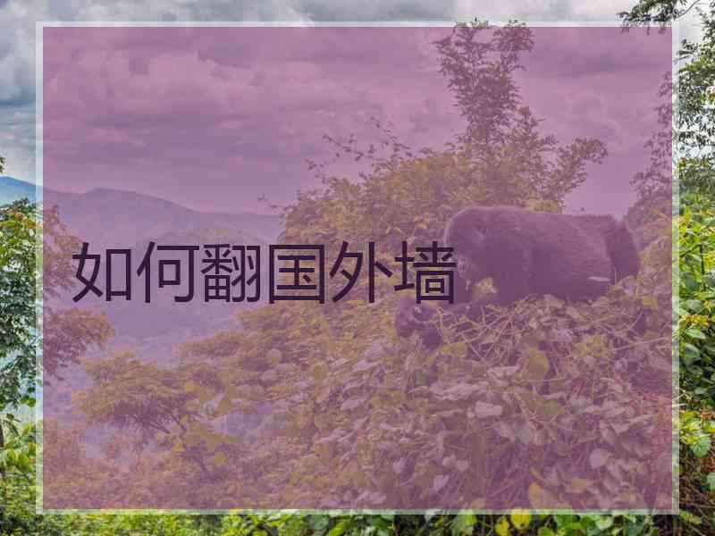 如何翻国外墙