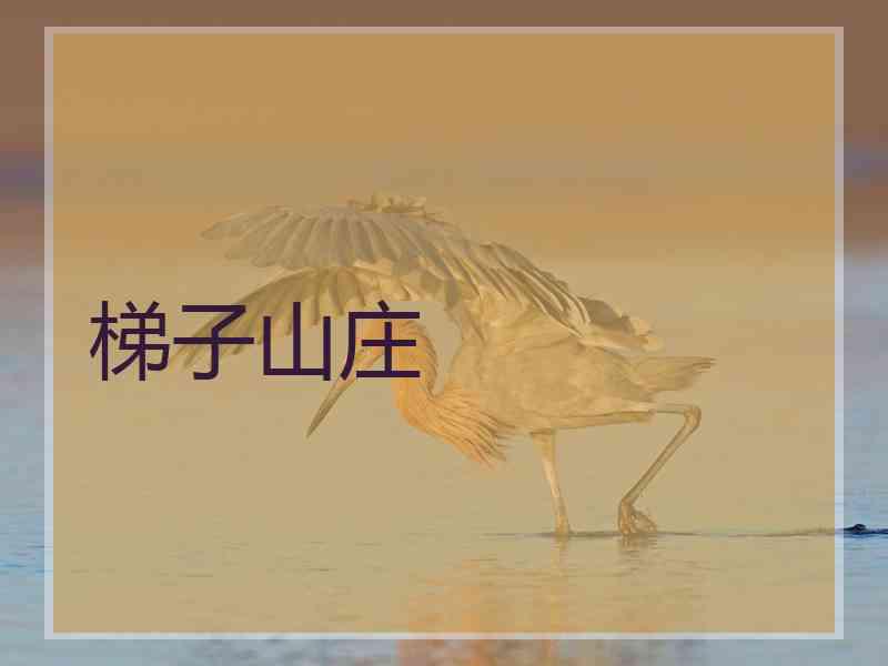 梯子山庄