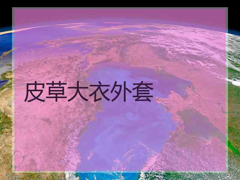 皮草大衣外套