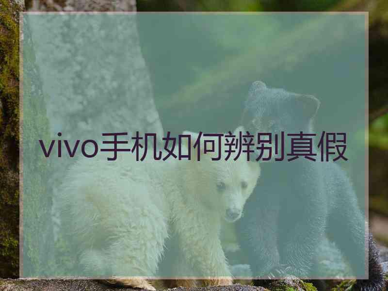 vivo手机如何辨别真假