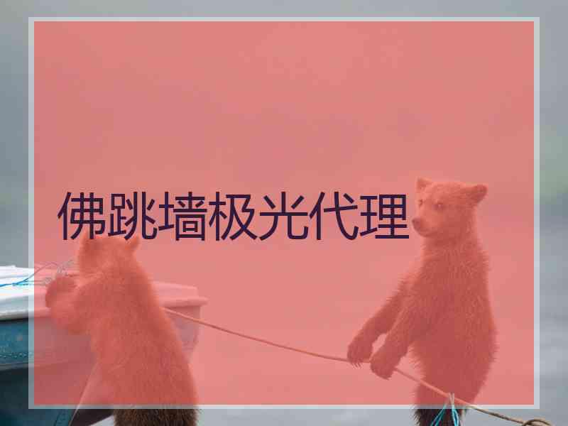 佛跳墙极光代理