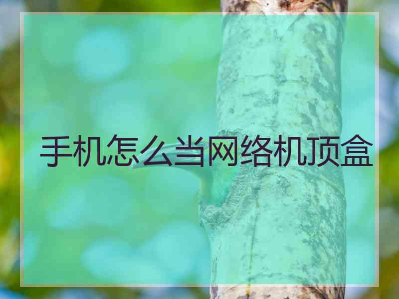手机怎么当网络机顶盒