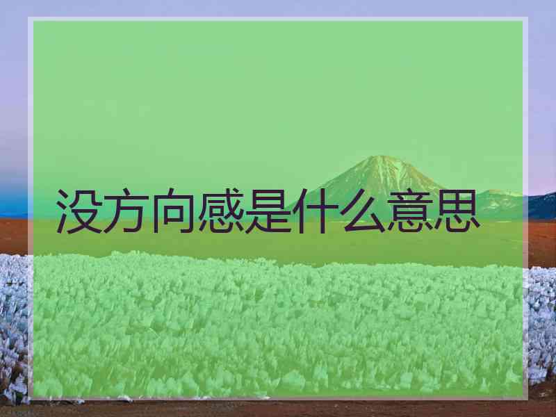 没方向感是什么意思