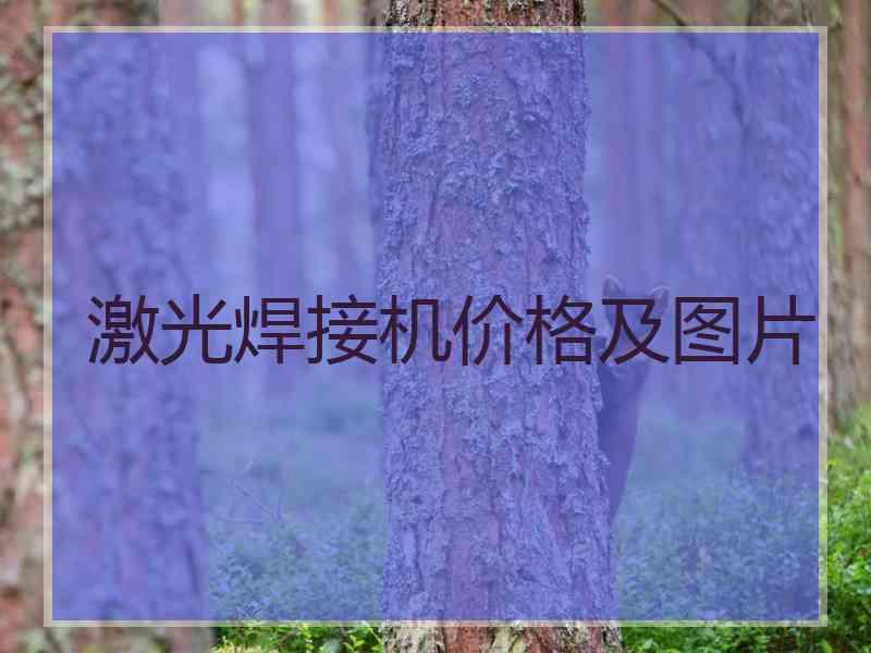 激光焊接机价格及图片