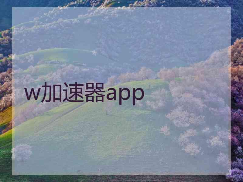 w加速器app