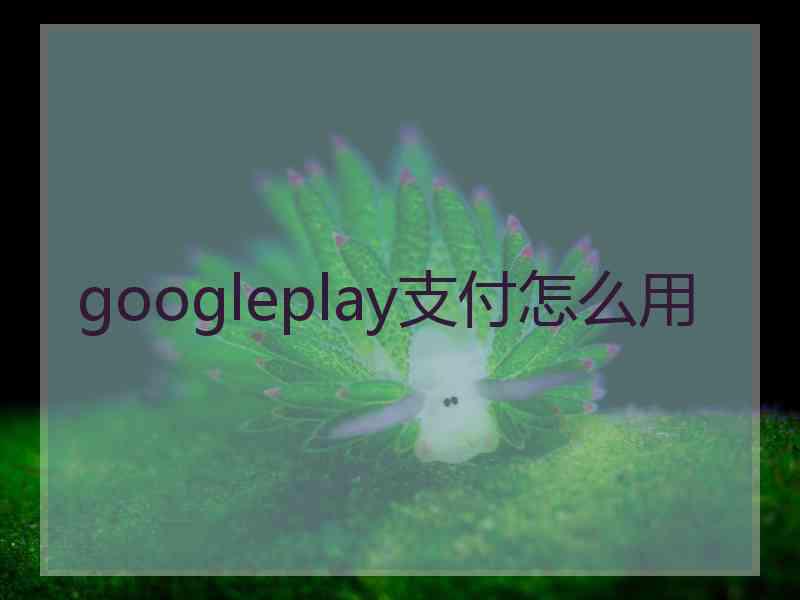 googleplay支付怎么用