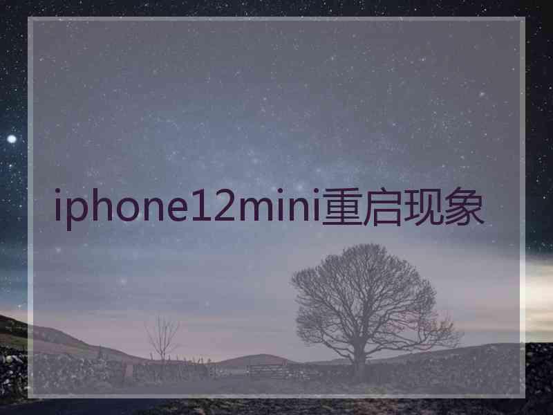 iphone12mini重启现象