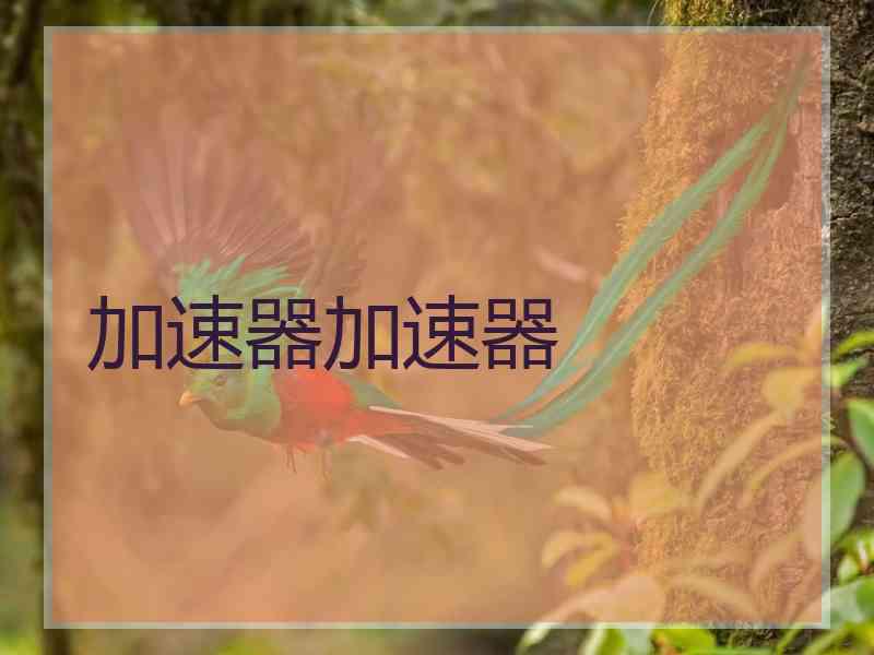 加速器加速器