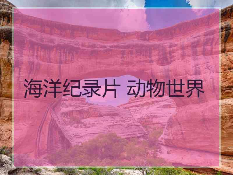 海洋纪录片 动物世界