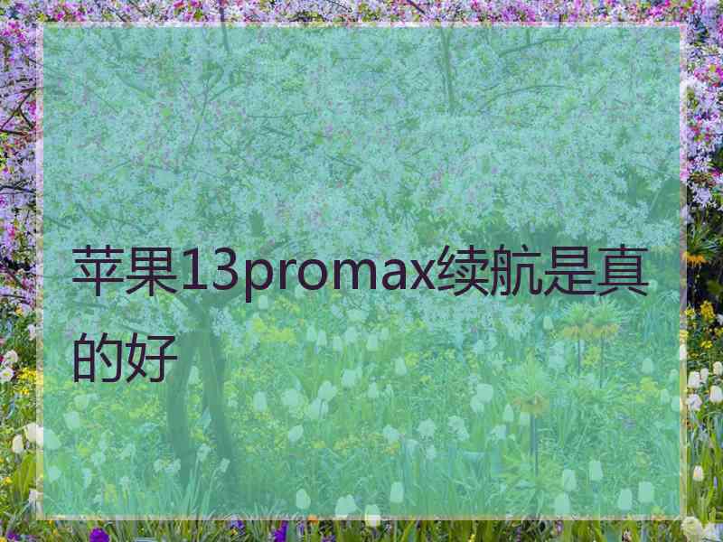 苹果13promax续航是真的好