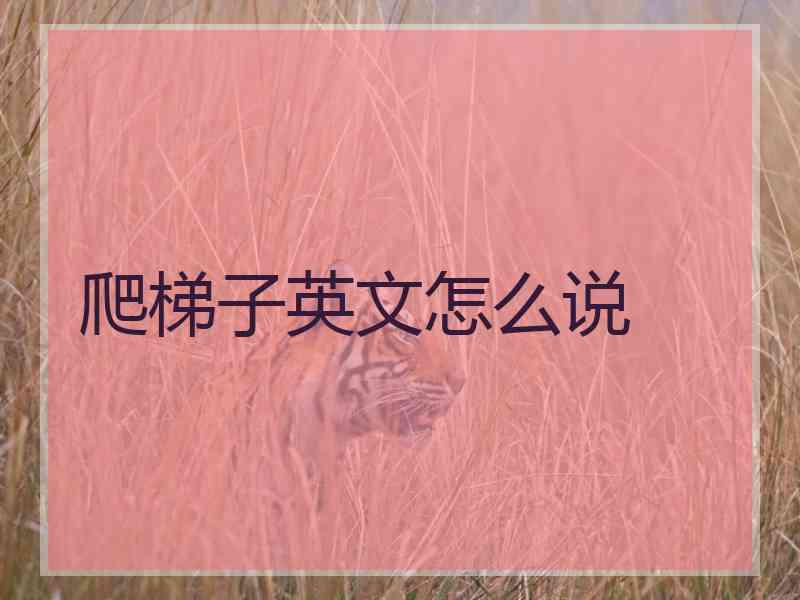 爬梯子英文怎么说