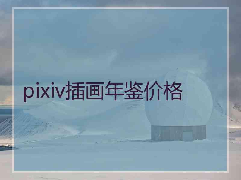 pixiv插画年鉴价格