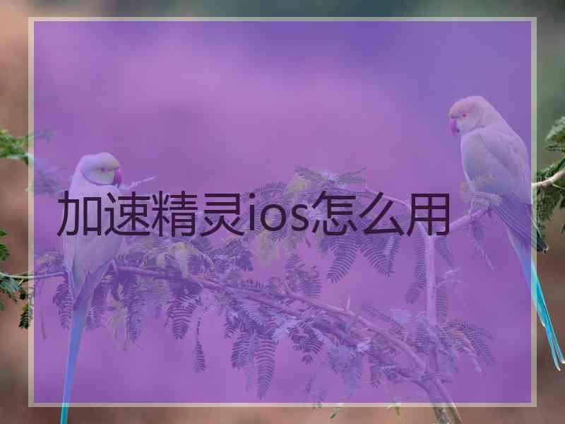 加速精灵ios怎么用