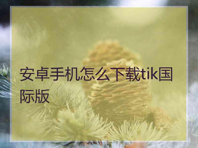 安卓手机怎么下载tik国际版