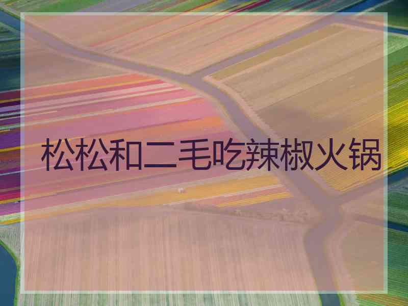 松松和二毛吃辣椒火锅