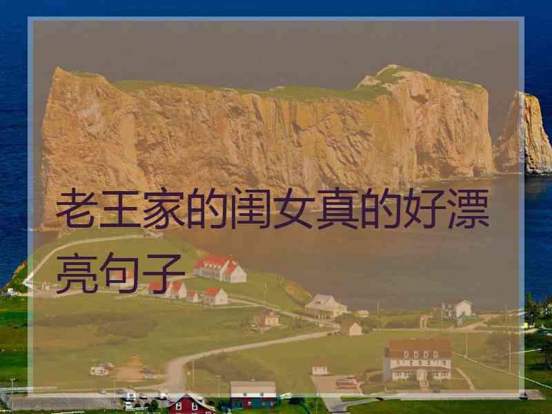 老王家的闺女真的好漂亮句子