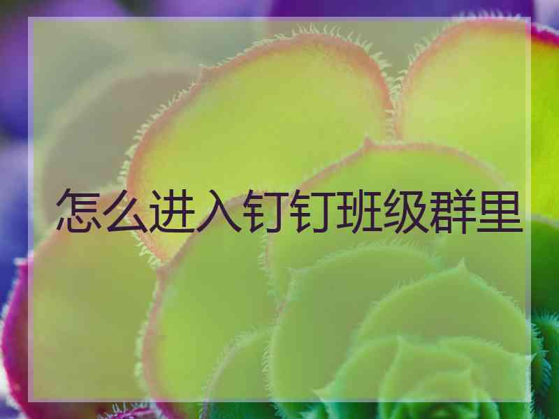 怎么进入钉钉班级群里
