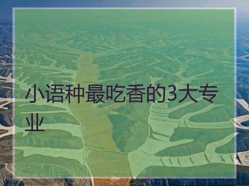 小语种最吃香的3大专业