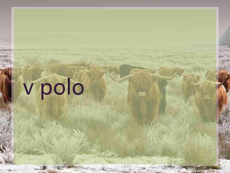 v polo