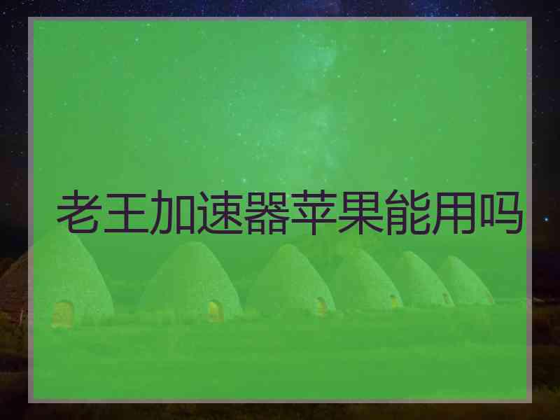 老王加速器苹果能用吗
