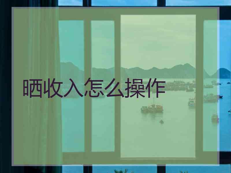 晒收入怎么操作
