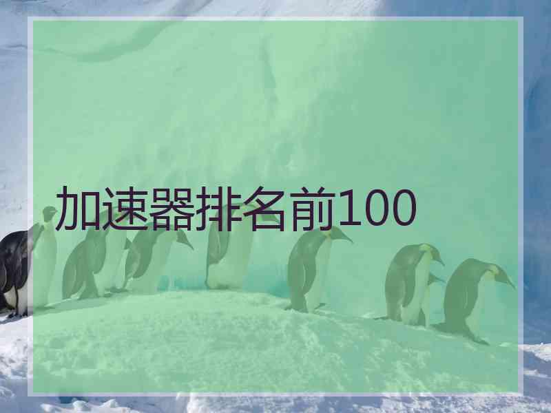 加速器排名前100