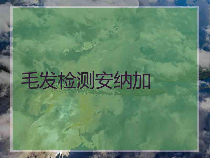 毛发检测安纳加