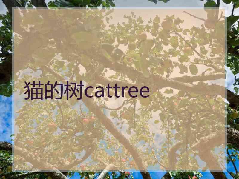 猫的树cattree