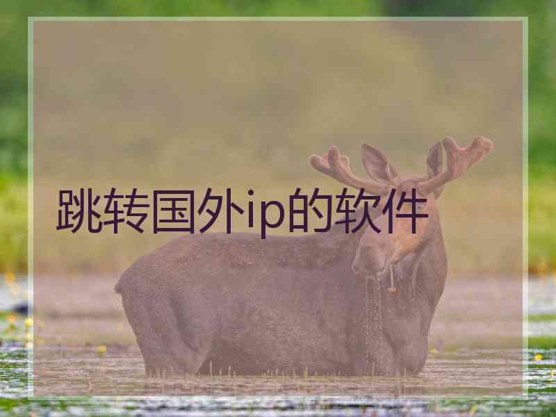 跳转国外ip的软件