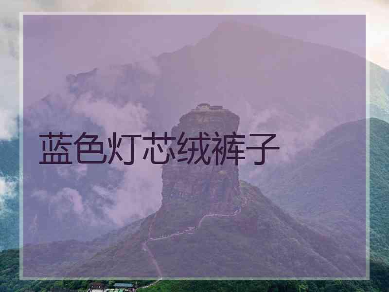 蓝色灯芯绒裤子