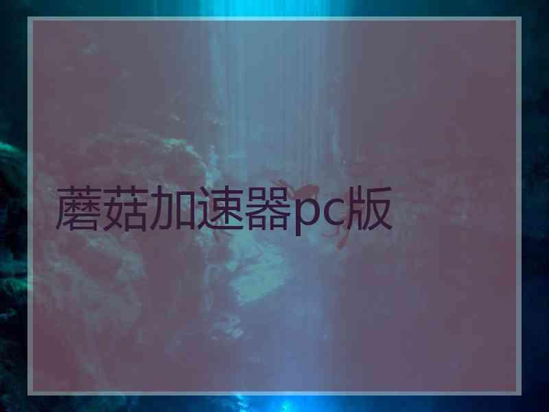 蘑菇加速器pc版