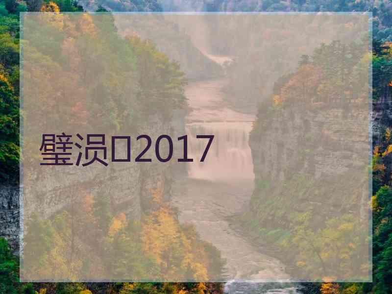 璧涢2017