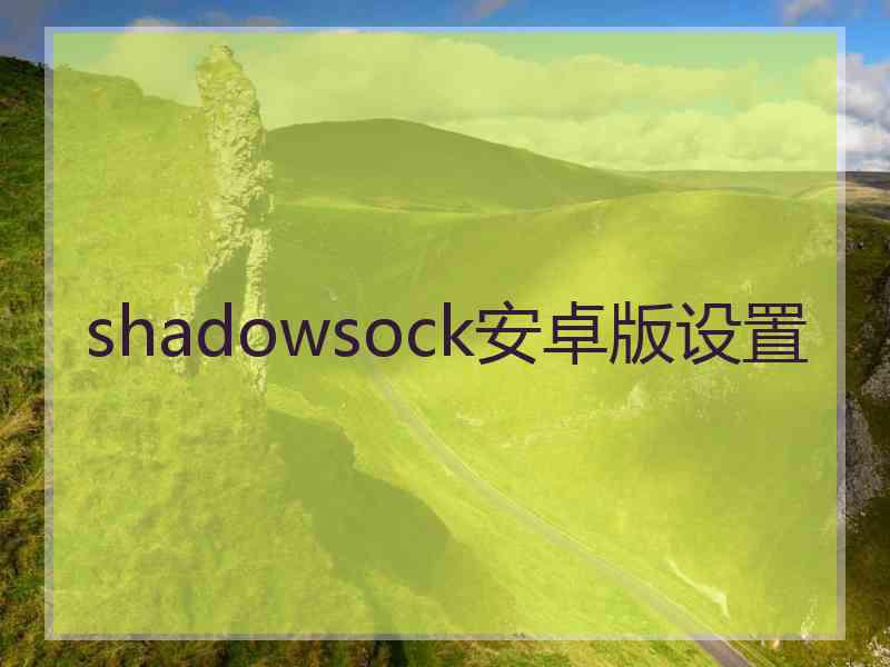 shadowsock安卓版设置