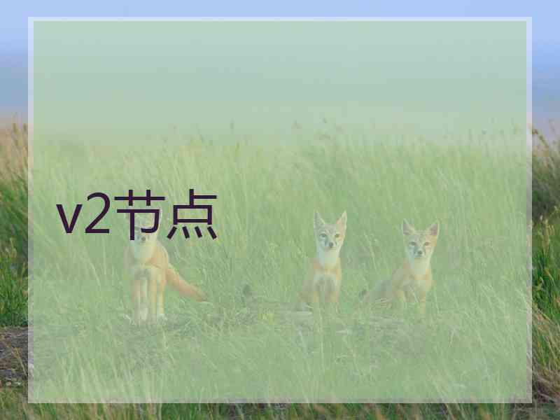 v2节点