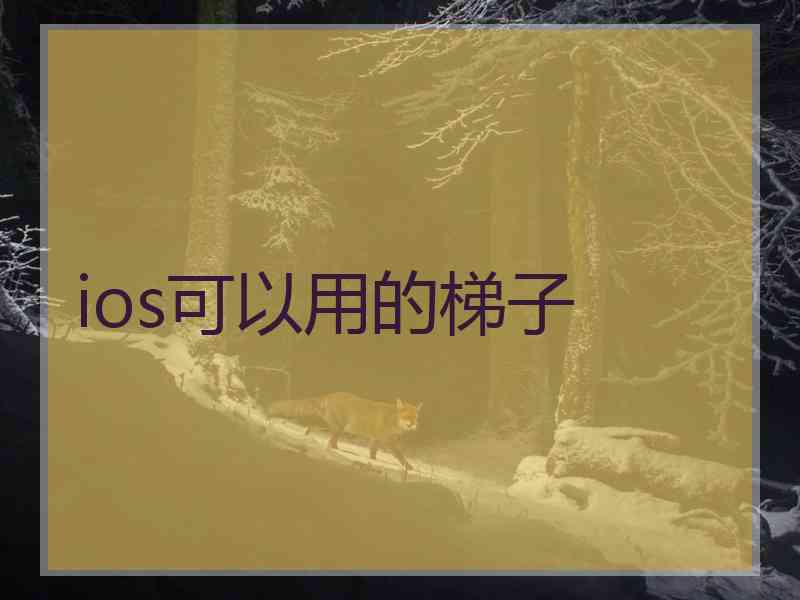 ios可以用的梯子